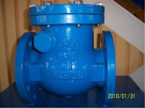 DIN Cast Steel Swing Type Check Valve